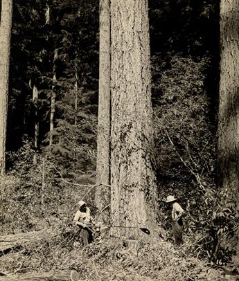 (BOOTH-KELLY LUMBER CO.) Album with 117 photographs illustrating the process, start-to-finish, of logging and lumber production by the